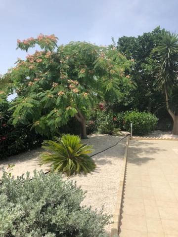 Villa Olivia, Coral Bay Zewnętrze zdjęcie